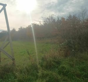 Belle balade avec 80 % de chemin - Beaulon - 4