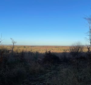 Parcours de la tête Saint-Jean - Saint-Jean-aux-Bois - 3