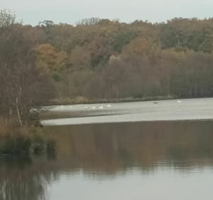 Belle balade avec 80 % de chemin - Beaulon - 6