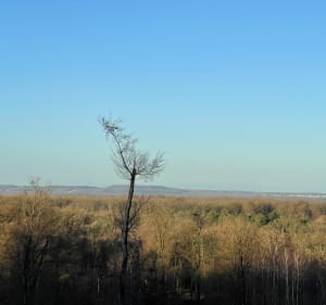 Parcours de la tête Saint-Jean - Saint-Jean-aux-Bois - 4