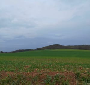 Petite boucle de la Voûte - Estrennes - Estrennes - 4
