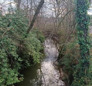 Jolie sortie avec mon frangin dans le Béarn - Poey-de-Lescar - 3