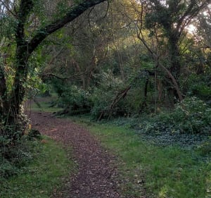 Roscanvel: op een wild en lichtgevend schiereiland - Roscanvel - 5