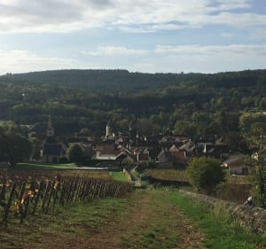 Randonnée à Savigny-lès-Beaune - Savigny-lès-Beaune - 3