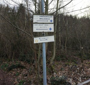 Balade le long de la Bruche, jusqu'à Gresswiller - Mutzig - 5