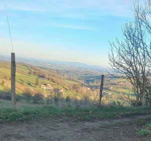 Boucle Saint-Médard par Avezieux, Fontanès et Chevrières à VTT - Saint-Médard-en-Forez - 3