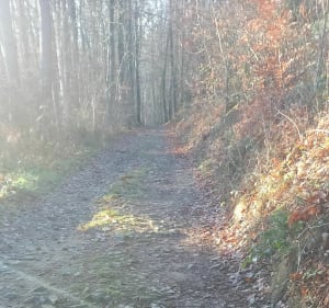 Boucle Saint-Médard par Avezieux, Fontanès et Chevrières à VTT - Saint-Médard-en-Forez - 4