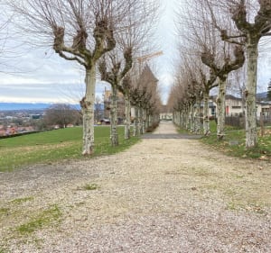 Balade autour de Contamine-sur-Arve - Contamine-sur-Arve - 4