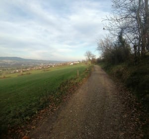 Tour autour de la Madone de Farnay - Chabane - 3