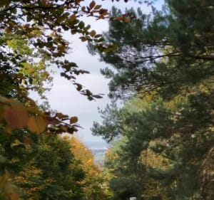 Sur la route des chaumières le long de la Seine - Decathlon - 4