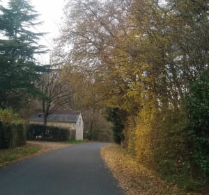 Balade dans la Membrolle sur Choisille - La Membrolle-sur-Choisille - 3