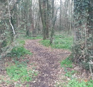 Balade le long de la Boulogne - Rocheservière - 3