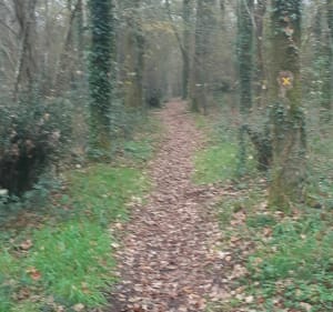 Balade le long de la Boulogne - Rocheservière - 4