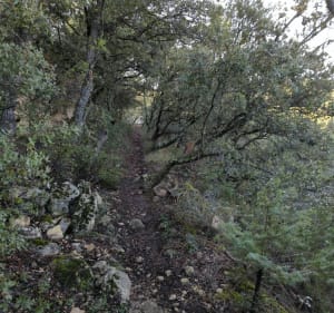 Randonnée à Mormoiron - Mormoiron - 4