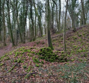 Plateau de Ludres par le belvédère d'Houdemont - Ludres - 4