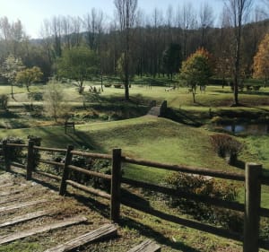 Balade de Lendresse au bord du Gave - Mont - 3