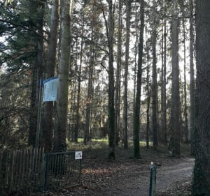 Saint Laurent, les Gayeulles et Parc des Bois - Rennes - 3