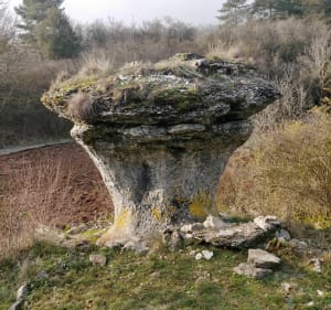 Tour des Roches d'Orgères - Fleurey-sur-Ouche - 5