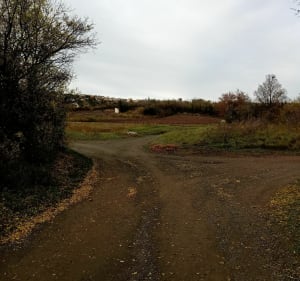 Balade la tête dans les vignes de Cébazat - Cébazat - 4