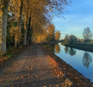 De Saint-Omer à Arques via le Véloroute n°5 - Saint-Omer - 3