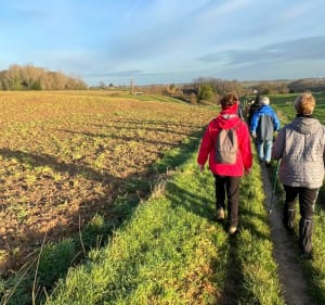 Rando dans la plaine de Fontenay et Rolleville - Fontenay - 3