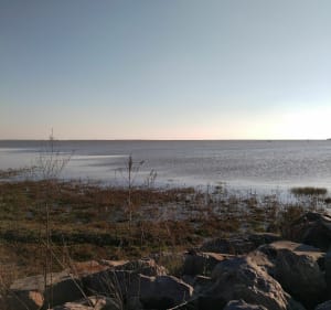 Belle balade du plan d'eau à la petite jetée des Caves - L'Aiguillon-la-Presqu'île - 4
