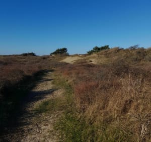 Strand van Mont Saint Frieux - Dannes - 3