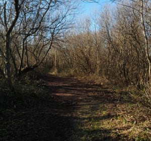 Strand van Mont Saint Frieux - Dannes - 4