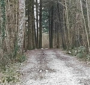 Ballade autour de  Torchefelon. - Torchefelon. - 5