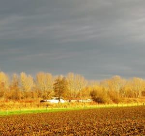 Comines et son canal - Comines - 5