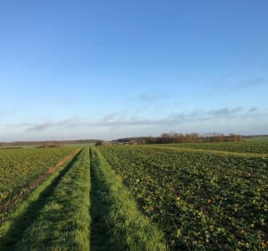 VTT autour de Sonzay - Sonzay - 3