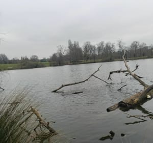 La nature et le calme dans l'arboretum de Chèvreloup - Le Chesnay-Rocquencourt - 4