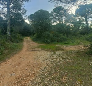 VTT Enduro, avec Les Sangliers de Bagnols sur Cèze - Bagnols-sur-Cèze - 4