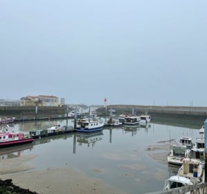 Merveilleuse balade à la Cotiniere d’Oleron - Saint-Pierre-d'Oléron - 5