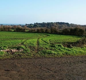Boswandeling richting het Pourrhis-viaduct - Etables sur Mer - 5