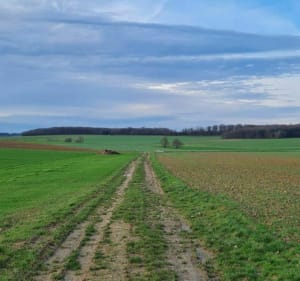 Promenade entre Wassy et Attencourt - Wassy - 3