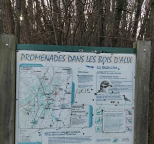 Petite boucle dans les bois d'Alix - Anse - 5