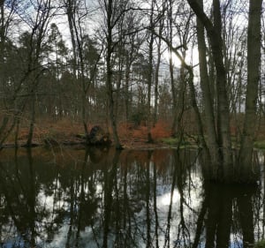 Randonnée au Mont Saint-Pierre de Pierrefonds - Vieux-Moulin - 3
