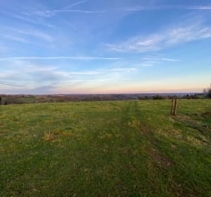 Sur les hauteurs de Juillac - Juillac - 3