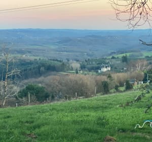 Sur les hauteurs de Juillac - Juillac - 4