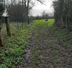 Aller-retour à la maison des anglais - Aurseulles - 3