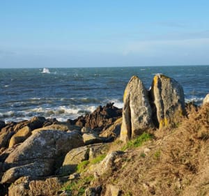 Nettoyage de plage au cabellou - Concarneau - 4