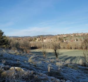 Chemin de forêt proche de la rivière - Loudes - 3