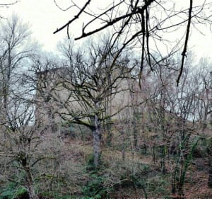 Fallavier, le lac et son château. - Vilefontaine - 4