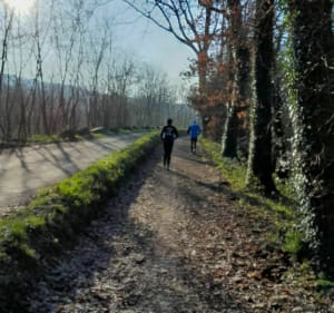 Autour de Mortain par Romagny - Mortain-Bocage - 4