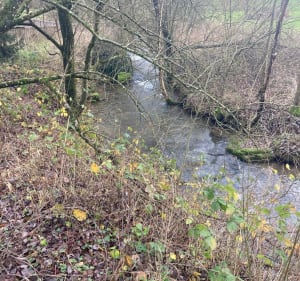 Boucle Thelonne-Haraucourt-Angecourt - Thelonne - 4