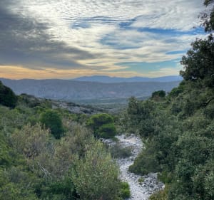 Sentier de la Torre Del Far ou de Tautavel - Cases-de-Pène - 3