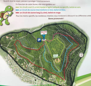 Gemeentelijk bos van Châtel-Guyon - Châtel-Guyon - 4