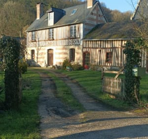 Petite balade en forêt de Maulévrier - Maulévrier-Sainte-Gertrude - 3