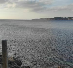 De Bonnegrâce vers le parc Méditerranée - Sanary-sur-Mer - 5